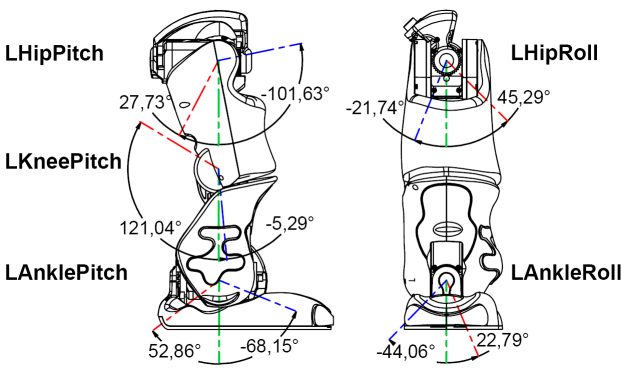 Left Leg Joints limitations