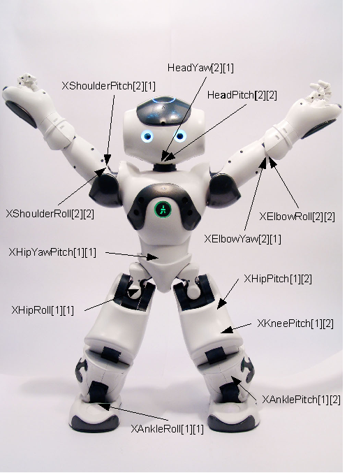 NAO battery
