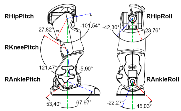 Right leg Joints limitations