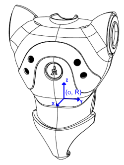 Torso mass information